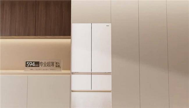 到治愈系冰箱家电的情感升级开元棋牌app从懒人洗衣机(图5)