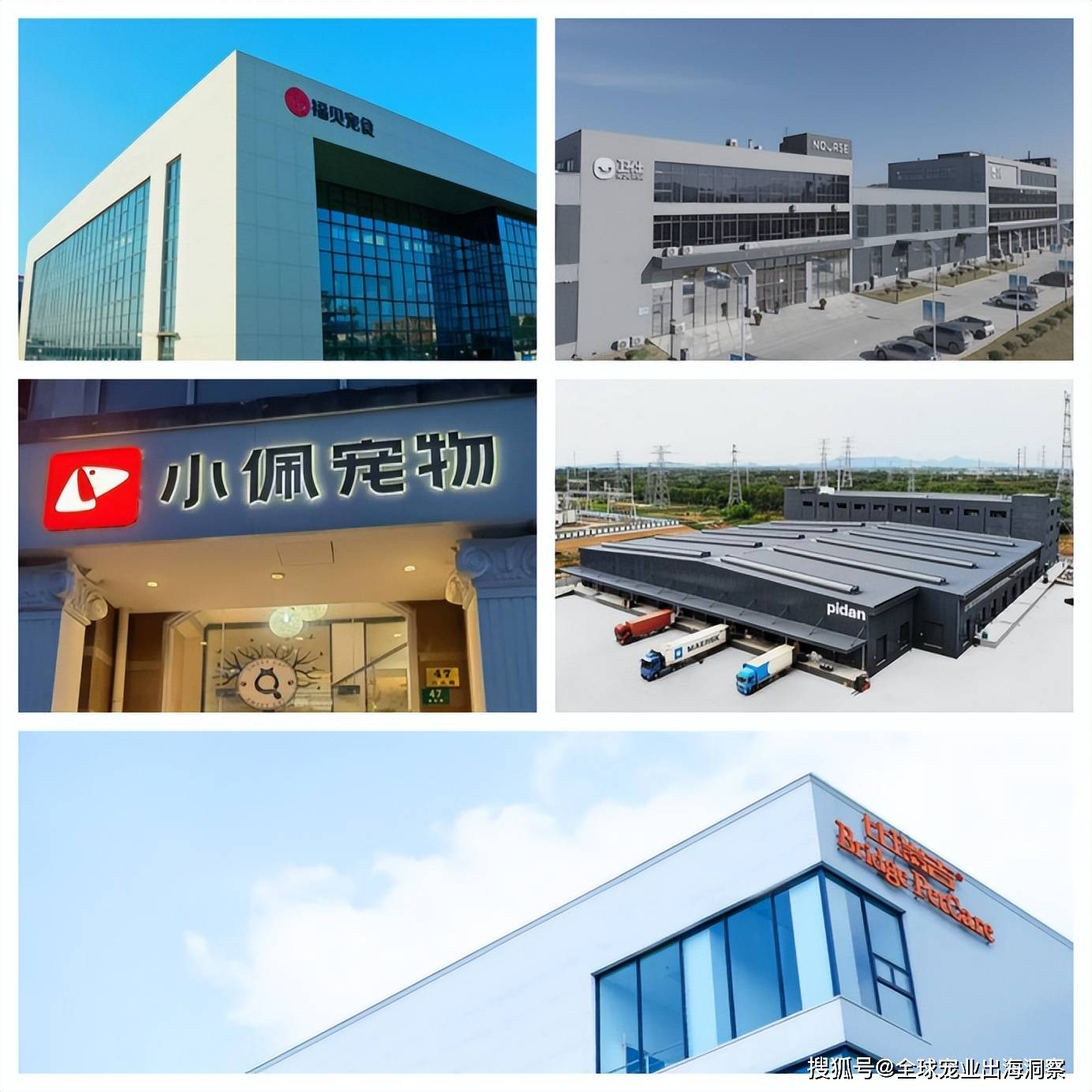 250亿提出三大痛点四大建议ky开元棋牌上海宠物经济迈向(图4)